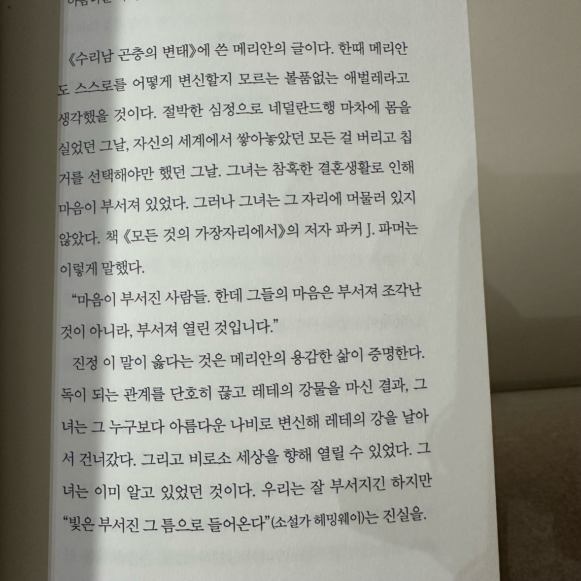 울찌님의 나는 그림을 보며 어른이 되었다 게시물 이미지