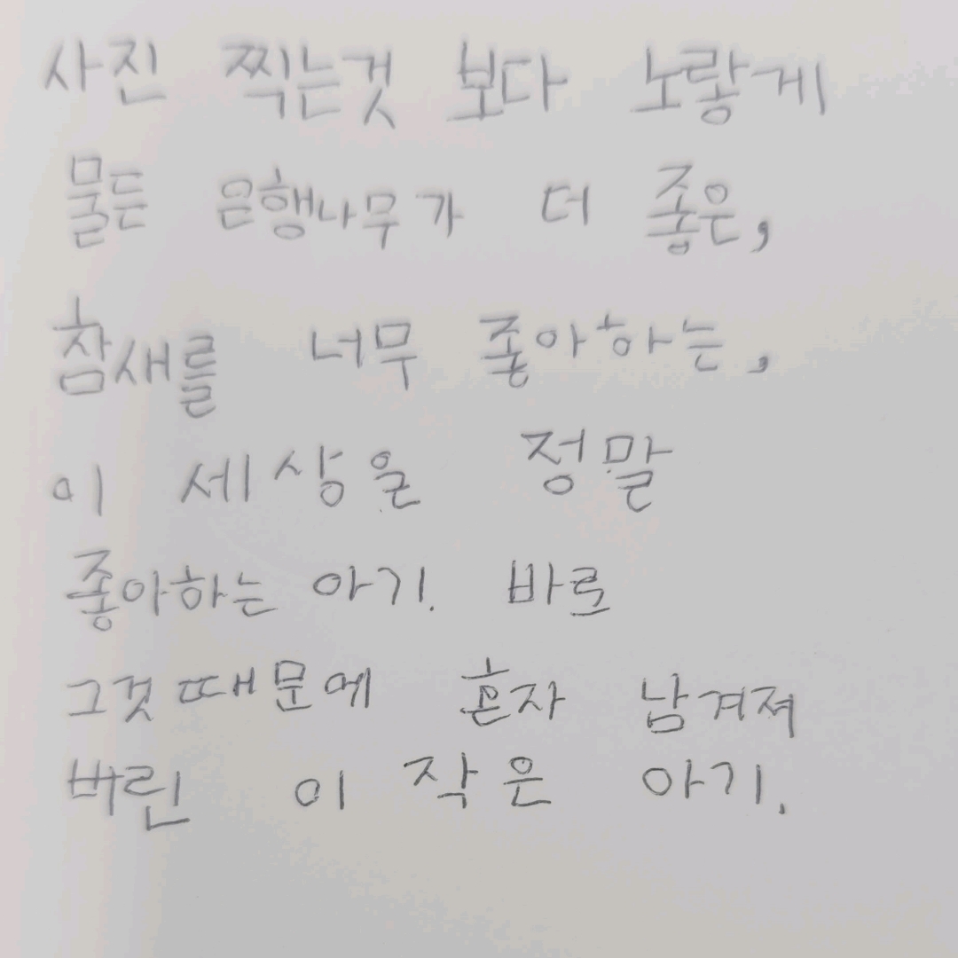 20307박지연님의  게시물 이미지