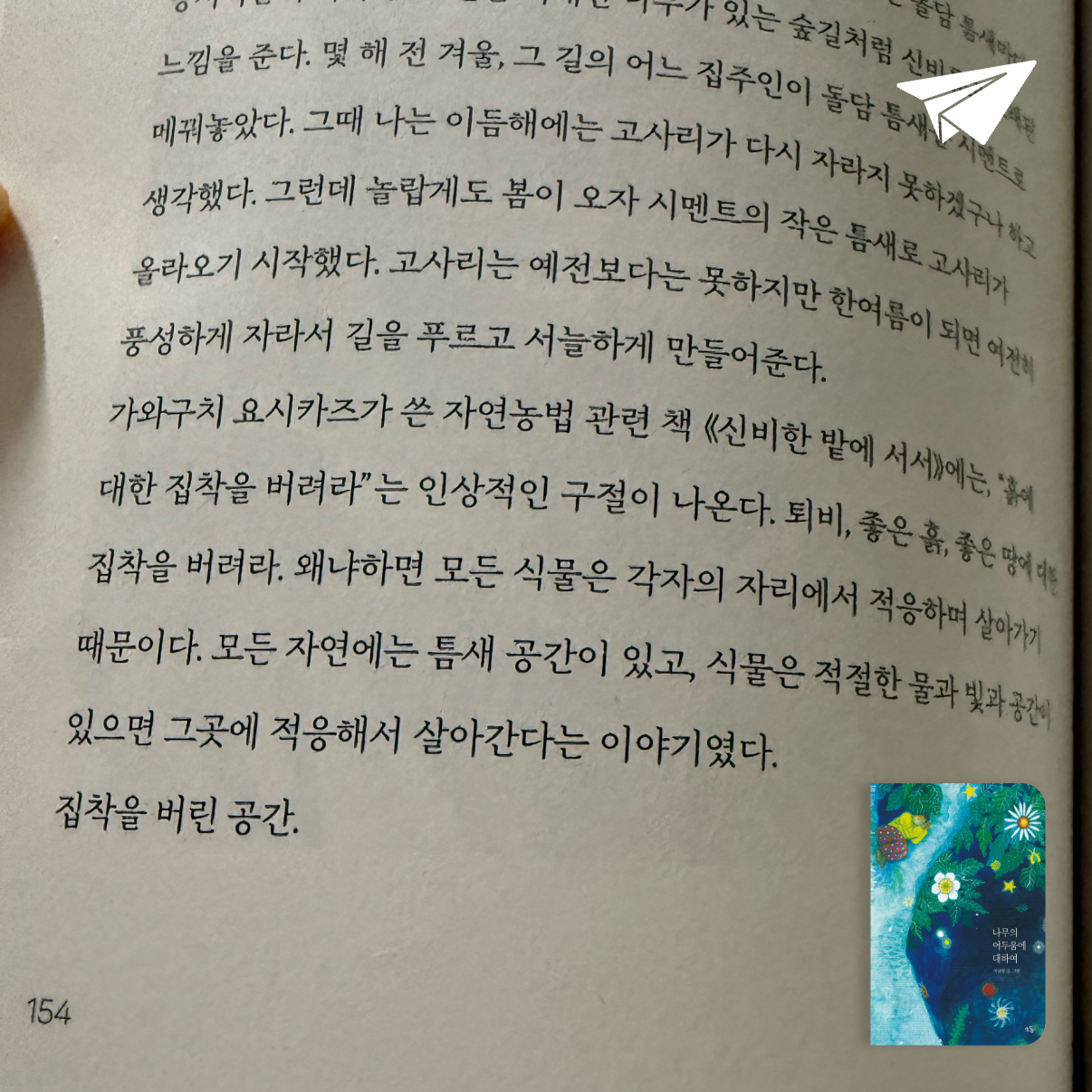 달렛님의 나무의 어두움에 대하여 게시물 이미지