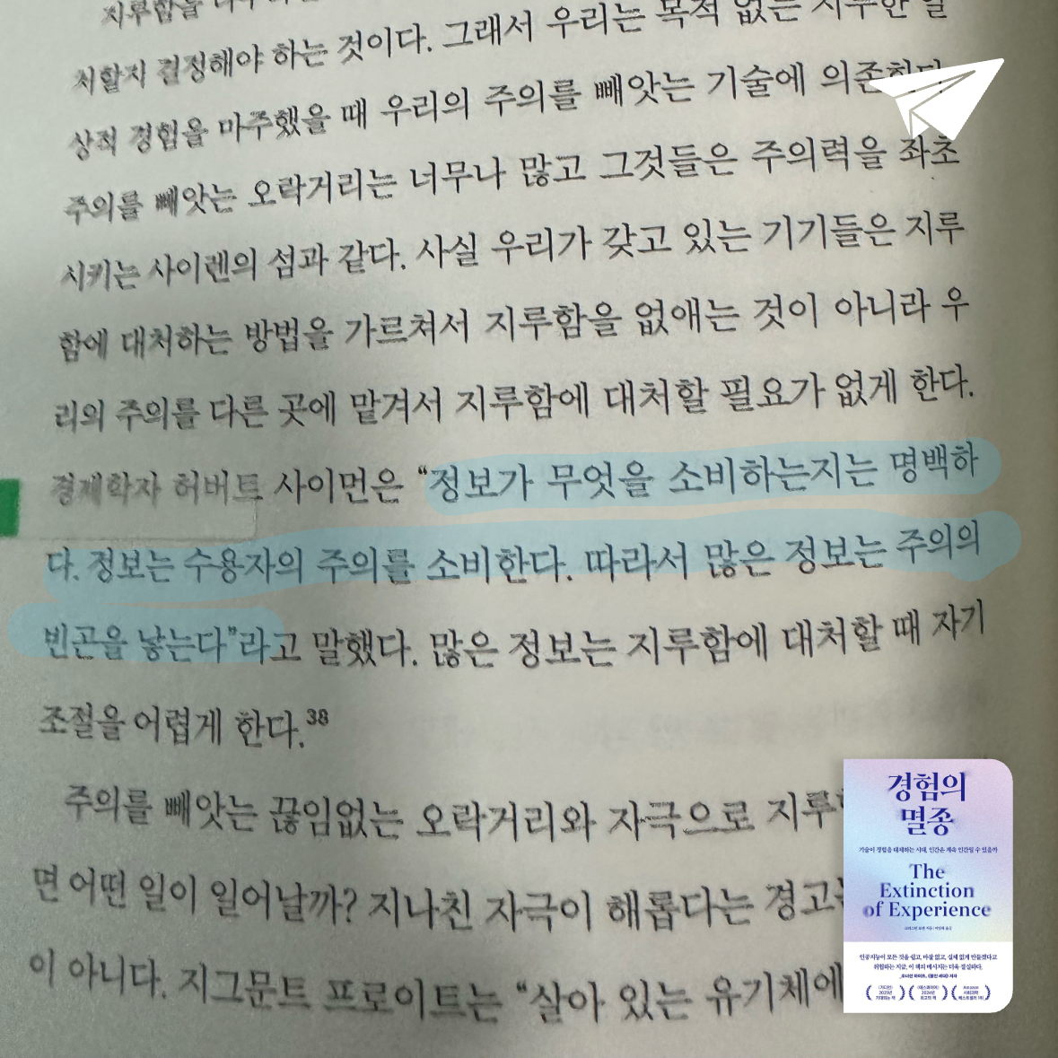 큰목소리님의 경험의 멸종 게시물 이미지