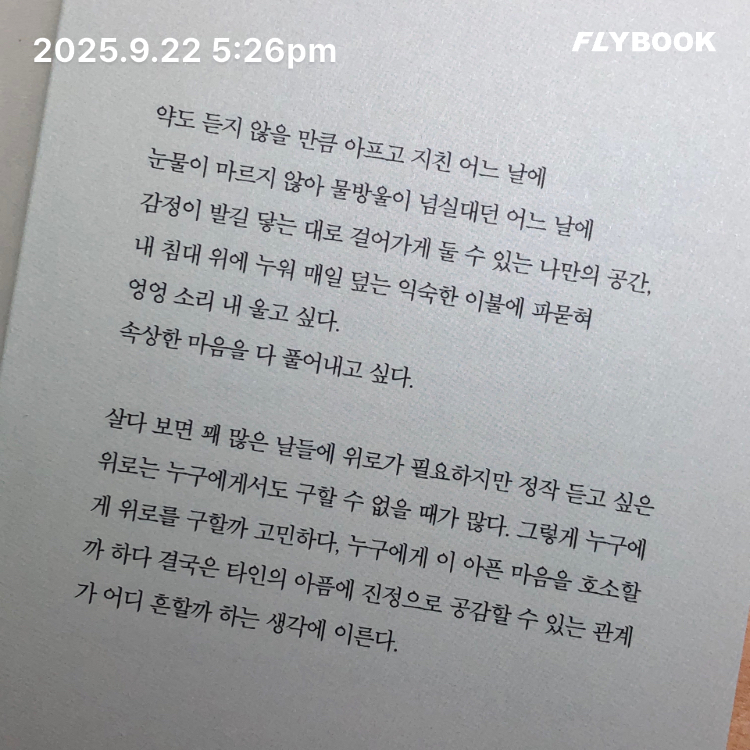 이민서님의 세상의 모든 위로 게시물 이미지