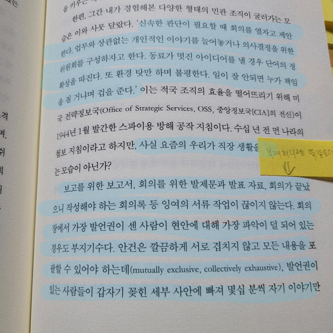 멋쟁이피노님의  게시물 이미지