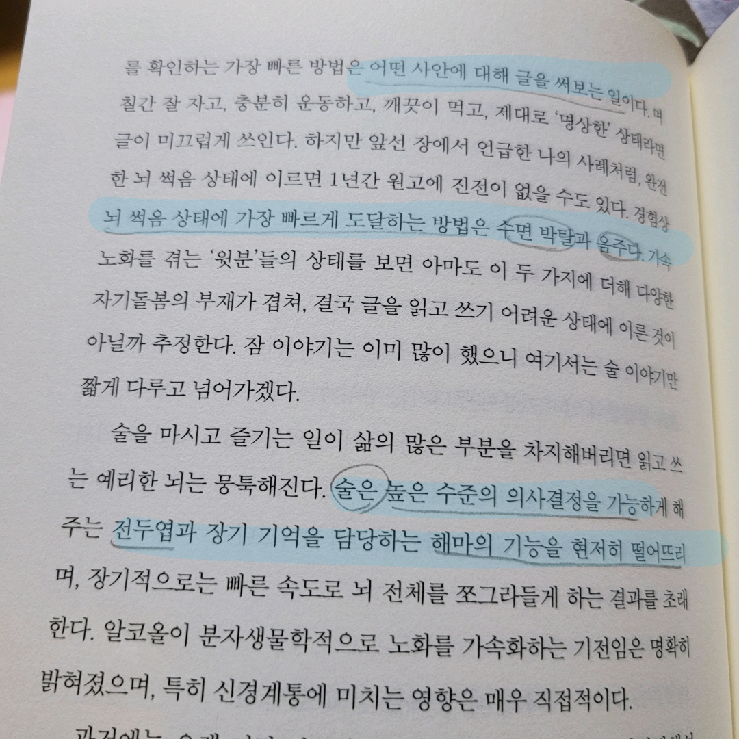 멋쟁이피노님의  게시물 이미지