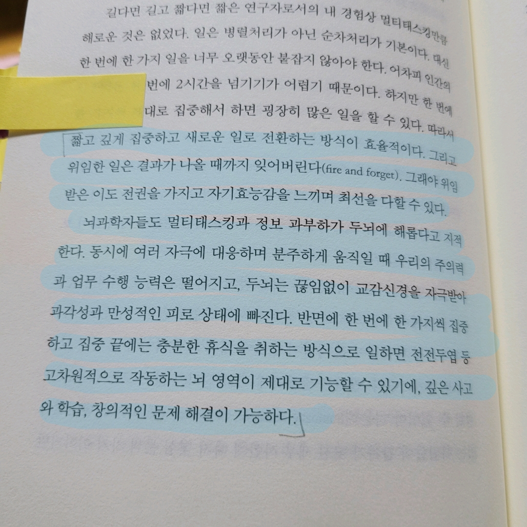 멋쟁이피노님의  게시물 이미지
