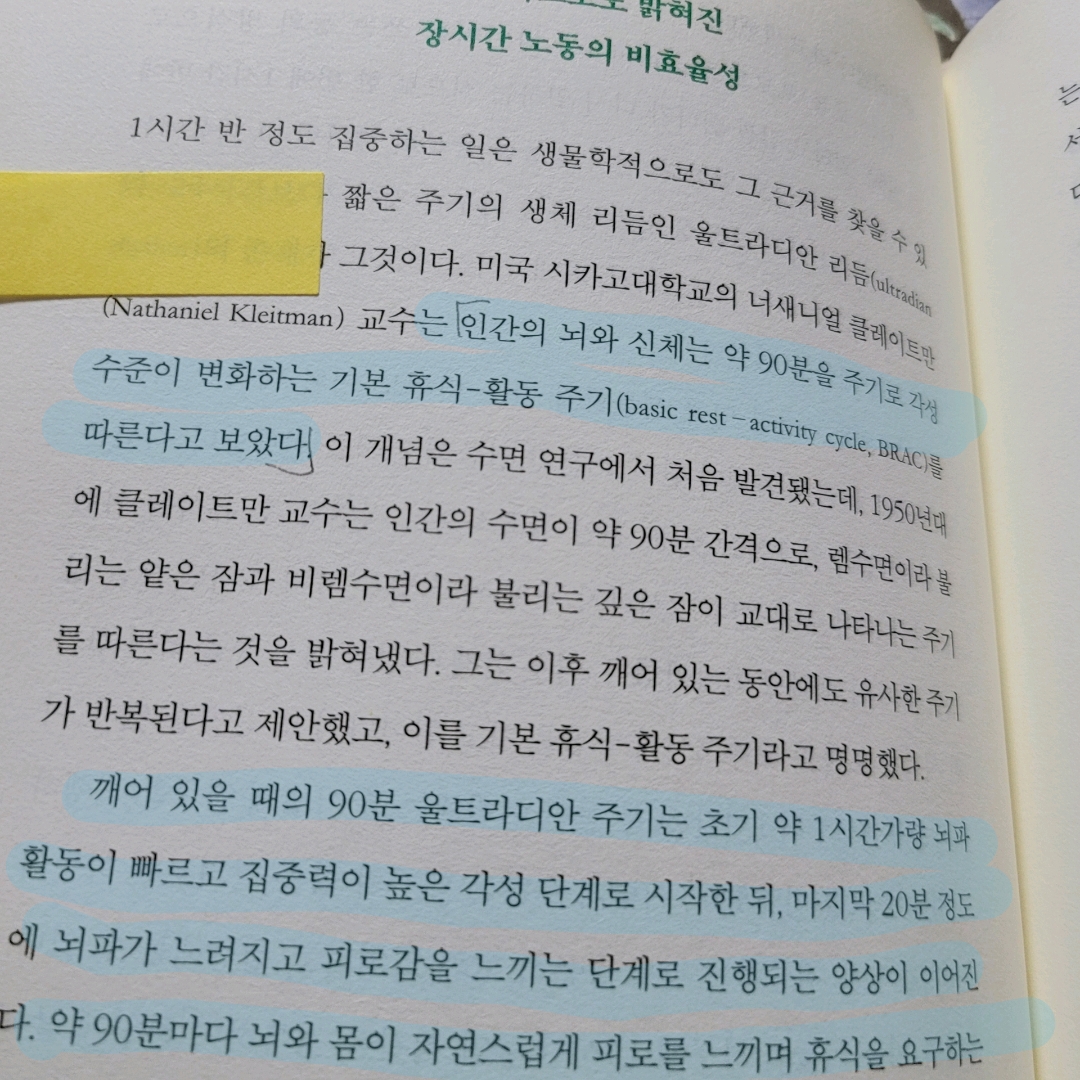 멋쟁이피노님의  게시물 이미지