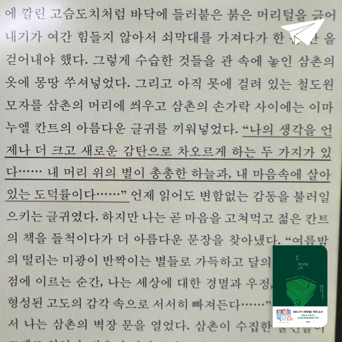 큰목소리님의 너무 시끄러운 고독 게시물 이미지