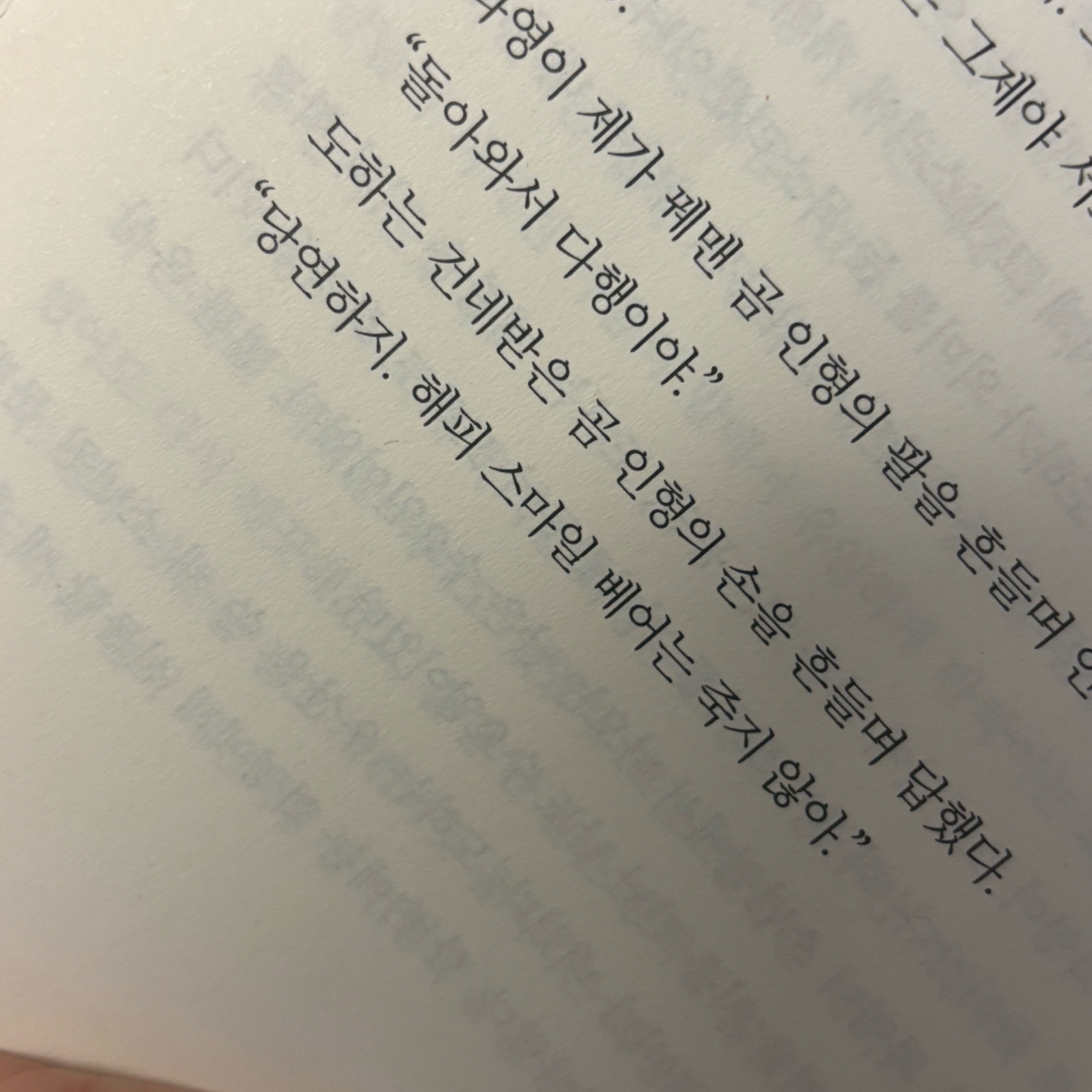 박서아님의 테디베어는 죽지 않아 게시물 이미지