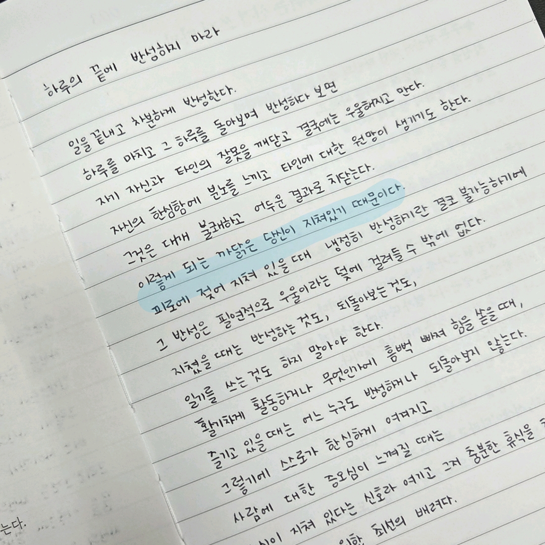 신지달려님의 초역 니체의 말 필사집 게시물 이미지