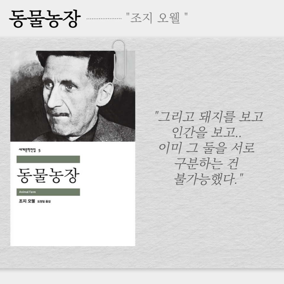 원정대님의  게시물 이미지