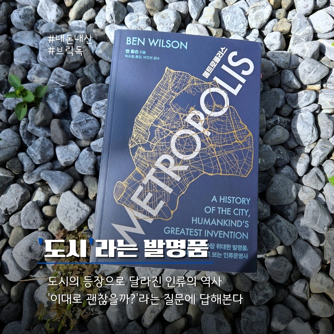 울림님의 메트로폴리스 게시물 이미지