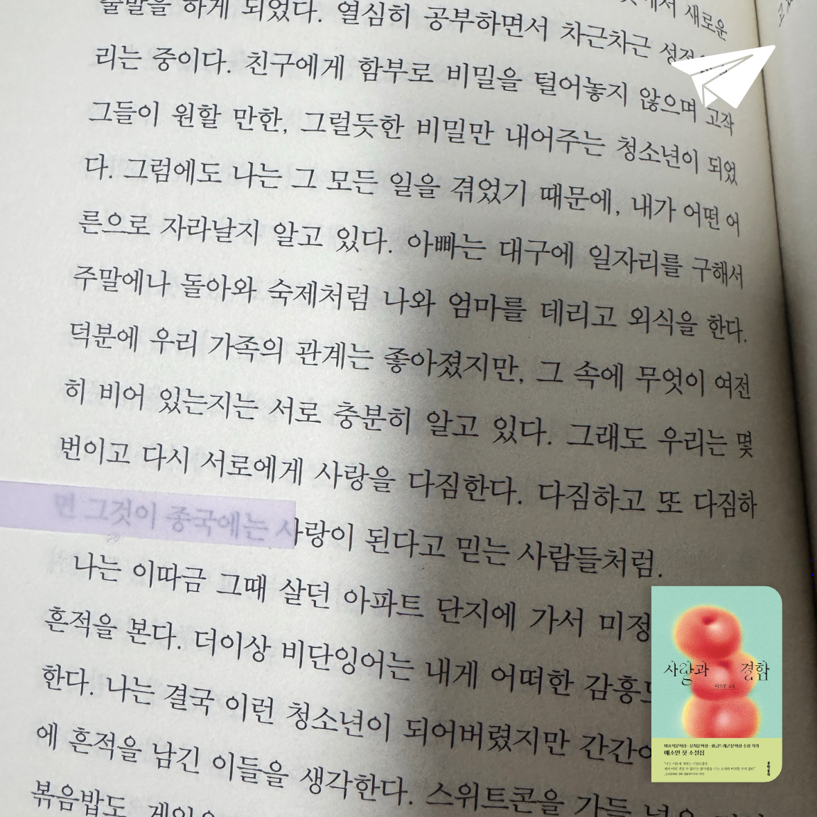 다나님의 사랑과 결함 게시물 이미지