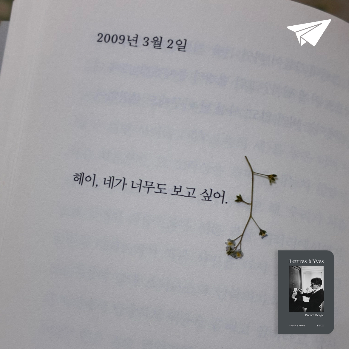 은표님의 나의 이브 생 로랑에게 게시물 이미지
