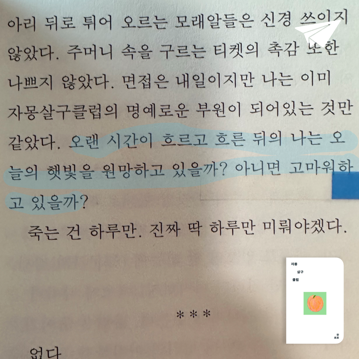 큰목소리님의 자몽살구클럽 게시물 이미지