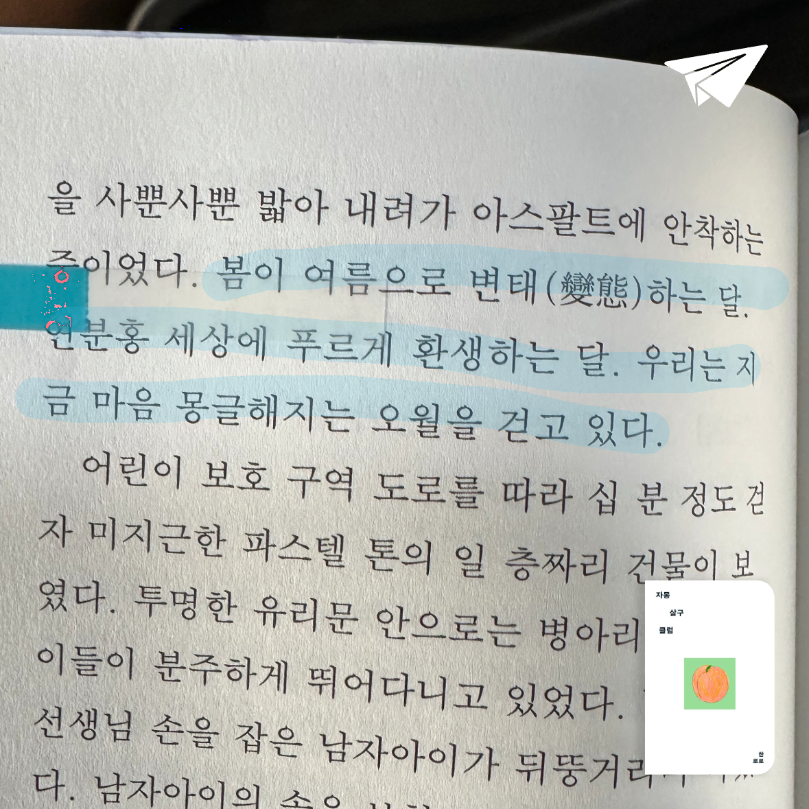 큰목소리님의 자몽살구클럽 게시물 이미지