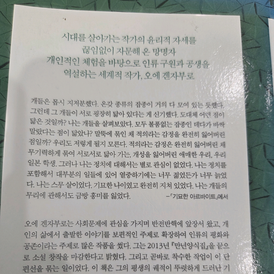 LGO님의 오에 겐자부로 게시물 이미지