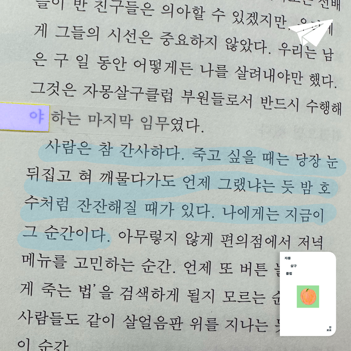 큰목소리님의 자몽살구클럽 게시물 이미지