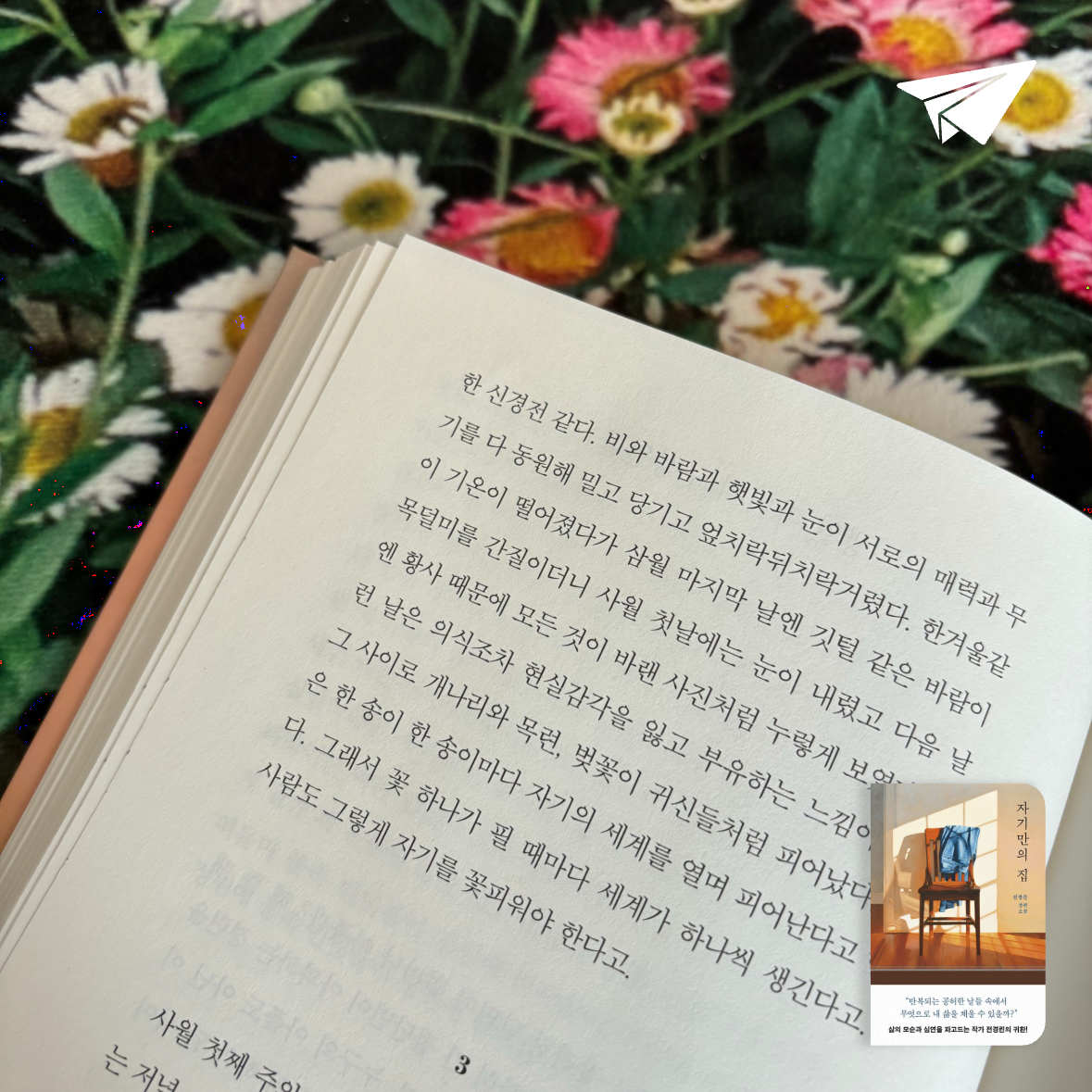 arisong님의 자기만의 집 게시물 이미지