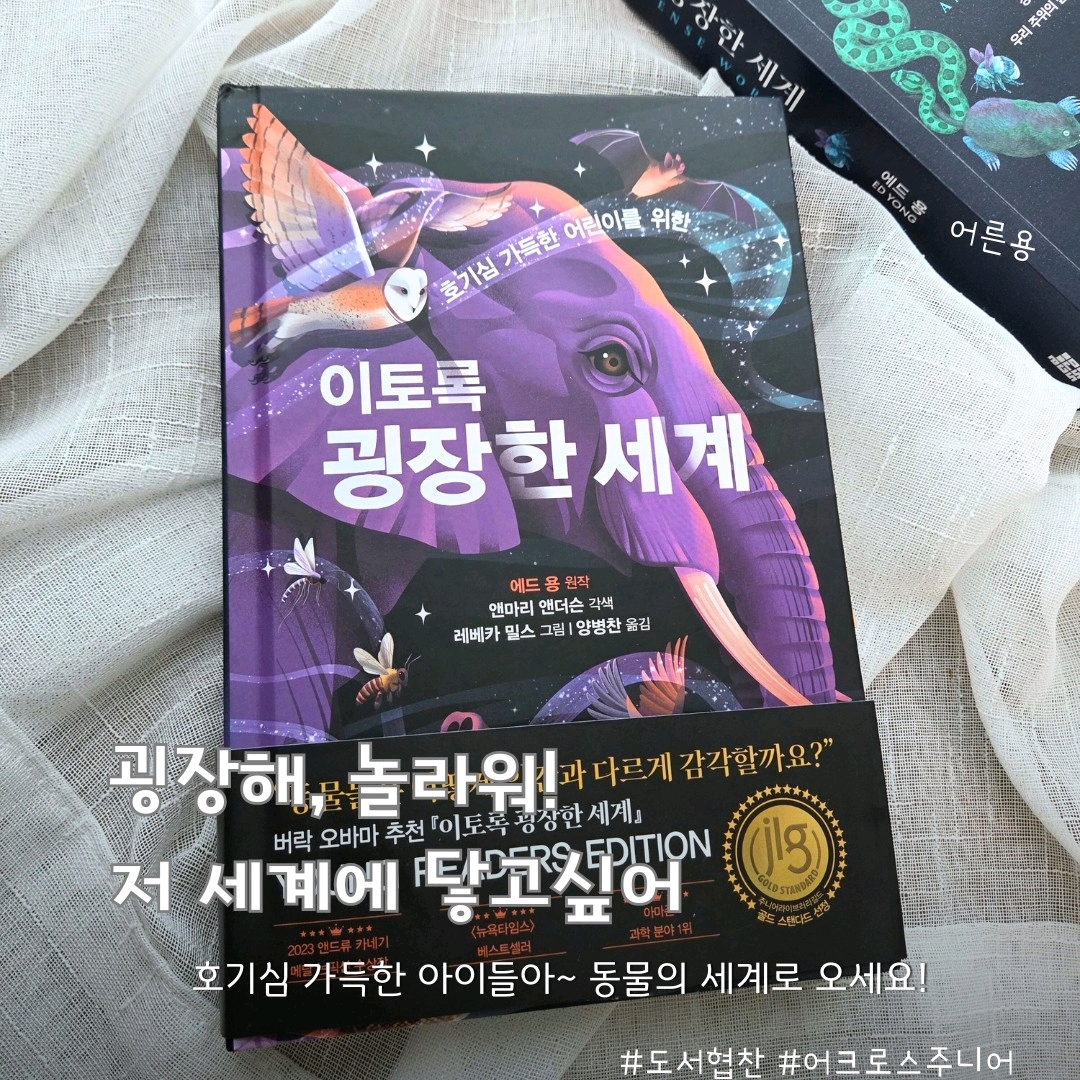 울림님의 이토록 굉장한 세계 게시물 이미지
