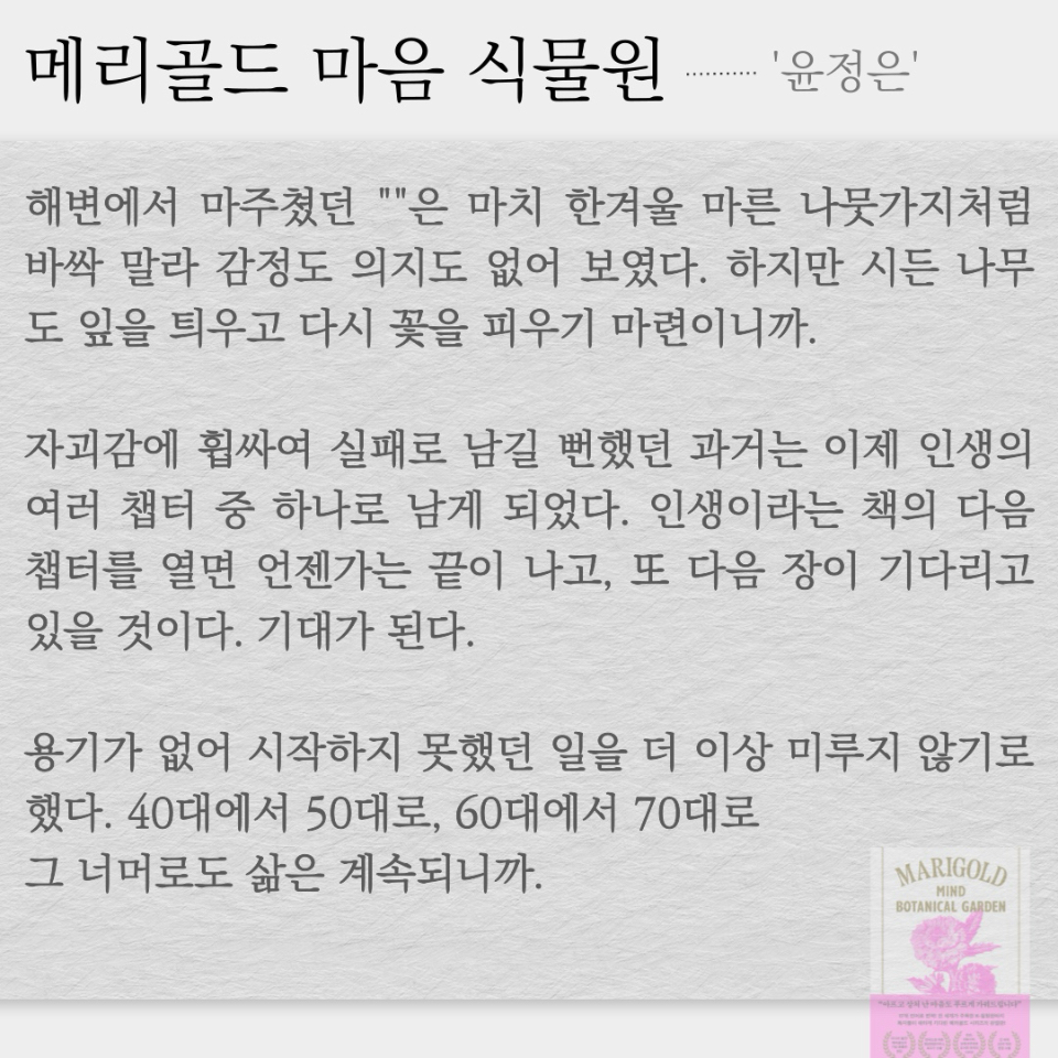 원정대님의 게시물 이미지