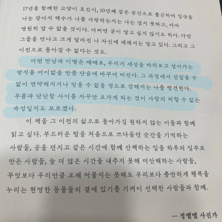 레리오님의 나 항상 네 곁에 있어 게시물 이미지