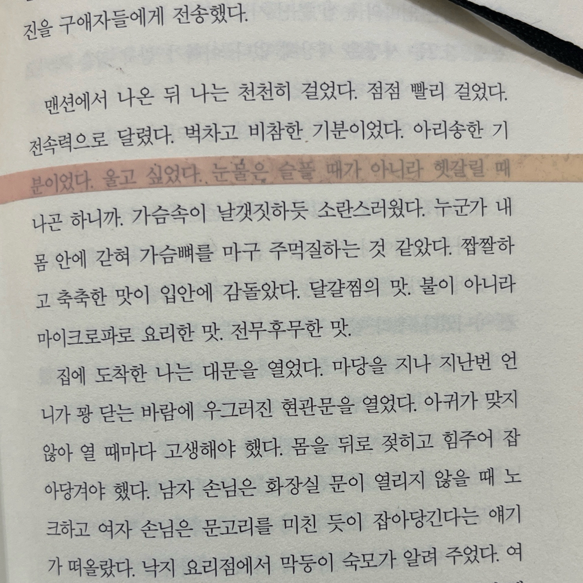 파이님의 치치새가 사는 숲 게시물 이미지