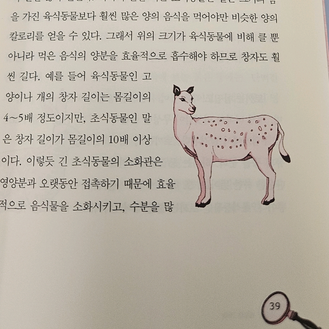 10622이희산님의 똥으로 해결한 과학 =Dung science 게시물 이미지